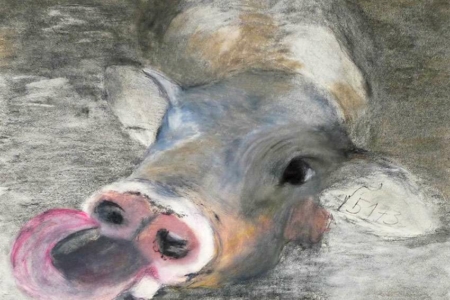 Cow|garego Artprints | Motif cow-GM-mm-0042 | Art for everyone! | Manfred Michael | pastel chalk | Art prints on aluminum dibond and canvas | in floating frame | cow | Category Figure Animals |