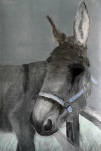 donkey artprints| donkey-gm-mm-00 43 | Buy art online | Manfred Michael | pastel chalk | Art prints on aluminum dibond and canvas | in floating frame | donkey | Category Figure Animals |