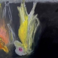 Fledermäuse online |garego Artprints Fledermäuse-Motiv GM-mm-0024 | Kunst für Alle! | Fledermäuse | Alu-Dibond oder Leinwand | Manfred Michl | Kategorie Figur Tiere |