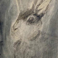 rabbit Artprints Motif Hare-II-GM-mm-0023 | Buy art online | Hare II | Alu-Dibond or canvas | Manfred Michael |