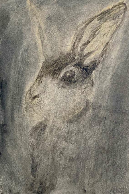 rabbit Artprints Motif Hare-II-GM-mm-0023 | Buy art online | Hare II | Alu-Dibond or canvas | Manfred Michael |